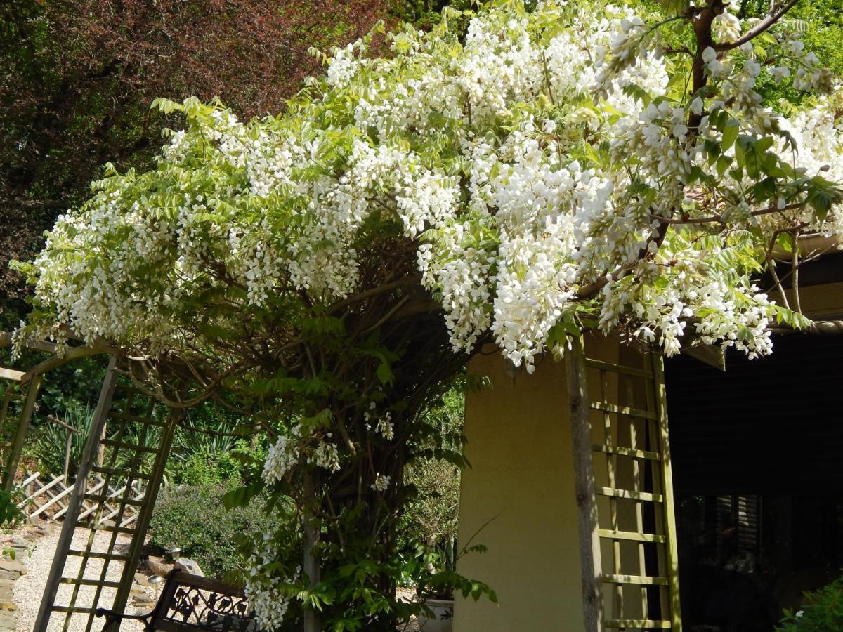 The Petite Chalet Chambre D'Hotes L'Isle-Jourdain  Dış mekan fotoğraf