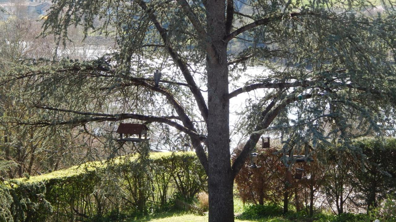 The Petite Chalet Chambre D'Hotes L'Isle-Jourdain  Dış mekan fotoğraf