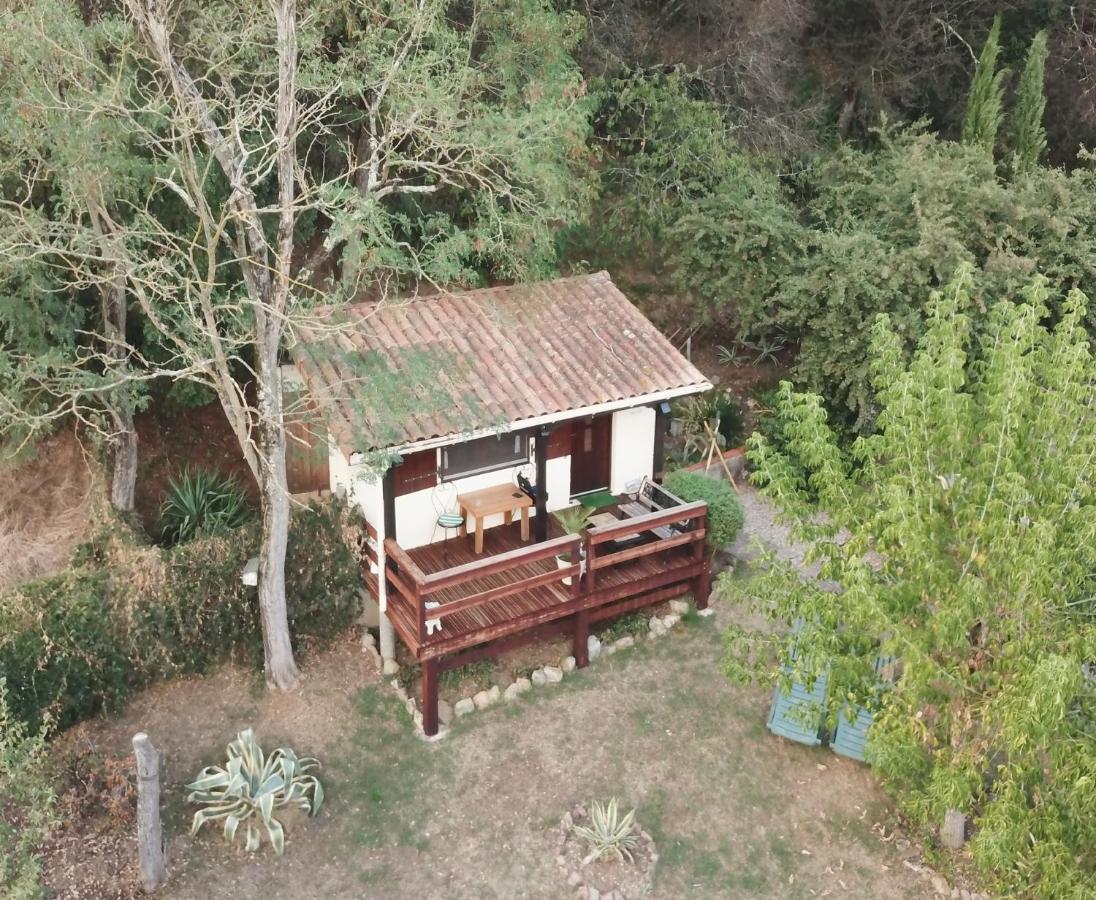 The Petite Chalet Chambre D'Hotes L'Isle-Jourdain  Dış mekan fotoğraf